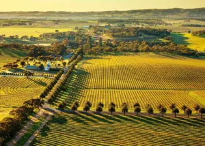 Barossa Valley Wine Region